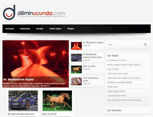 Tablet Screenshot of diliminucunda.com